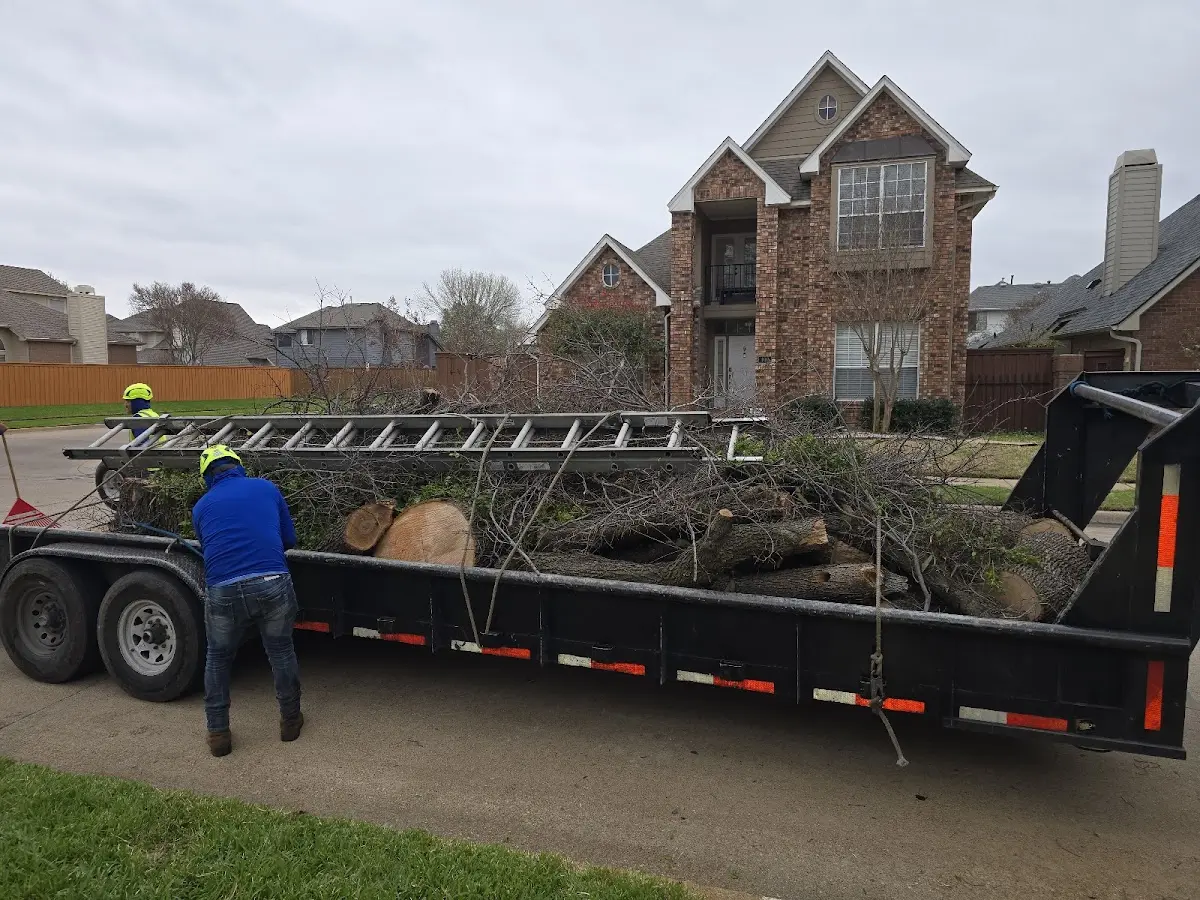 Expert Lot Clearing with proper safety equipment in Barnhart